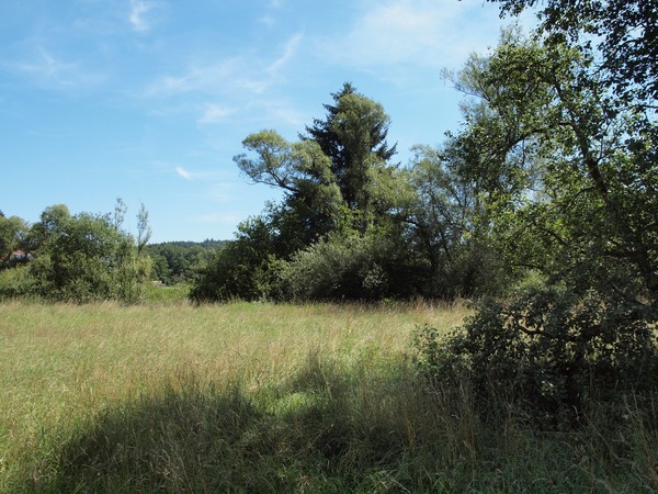 Bild Nr. 1